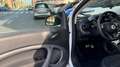 smart forTwo 90 0.9 Turbo twinamic Prime PELLE NAVI PANORAMA PD White - thumbnail 13