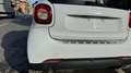 smart forTwo 90 0.9 Turbo twinamic Prime PELLE NAVI PANORAMA PD White - thumbnail 7