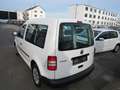 Volkswagen Caddy Kasten/Kombi Startline EcoFuel,KLIMA,NAVI. Weiß - thumbnail 4