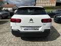 Citroen C4 Cactus C-Series*PDC*Tempomat*Color-Paket* Bianco - thumbnail 6