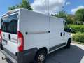 Fiat Ducato Ducato 28 115 Multijet L1H1 Weiß - thumbnail 12