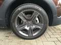 Dacia Lodgy 1.2 TCE Stepway Celeb/7-Sitz/AHK/Navi/PDC Braun - thumbnail 19