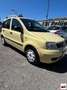Fiat Panda 1.2 Emotion Blanco - thumbnail 2