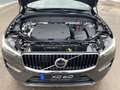 Volvo XC60 B4 FWD Core 4xSHZ ACC BLIS CAM FHZ LED SHZ Gris - thumbnail 25