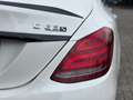 Mercedes-Benz C 63 AMG S Edition 1 PANO/BURMESTER/HUD/CARBON/MEMORY/ACC/C Biały - thumbnail 15