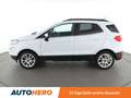 Ford EcoSport 1.0 EcoBoost Titanium*TEMPO*PDC*SHZ*AHK* Weiß - thumbnail 3