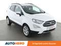 Ford EcoSport 1.0 EcoBoost Titanium*TEMPO*PDC*SHZ*AHK* Weiß - thumbnail 8