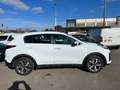 Kia Sportage 1.6 MHEV Business 4x2 136 Blanco - thumbnail 31