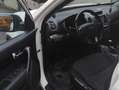 Kia Sorento 2.4 GDI AWD Vision Weiß - thumbnail 10