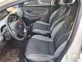 Lancia Ypsilon 1.2 69 CV 5 porte S&S Gold Bianco - thumbnail 8