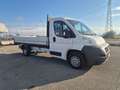Fiat Ducato Bianco - thumbnail 2