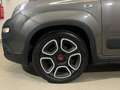 Fiat Panda 1.0 FireFly OK NEOPATENTATI Hybrid Grigio - thumbnail 14