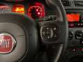 Fiat Panda 1.0 FireFly OK NEOPATENTATI Hybrid Grigio - thumbnail 7