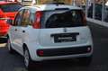 Fiat Panda Urban Hybrid 1.0 GSE/Klima/Radio/Bluetooth Blanc - thumbnail 3