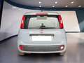 Fiat Panda III 2016 1.2 Lounge easypower Gpl 69cv my19 Grigio - thumbnail 5