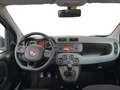 Fiat Panda III 2016 1.2 Lounge easypower Gpl 69cv my19 Grigio - thumbnail 10