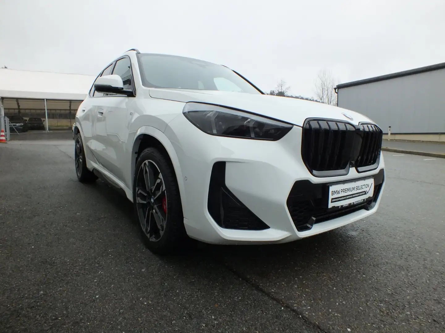 BMW X1 X1 xDrive20d Weiß - 2