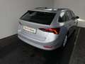 Skoda Octavia 4x4 Ambition TDI DSG Silber - thumbnail 17