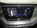 Skoda Octavia 4x4 Ambition TDI DSG Silber - thumbnail 9