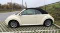 Volkswagen New Beetle Cab 1.4i 75 ch Fancy - thumbnail 6