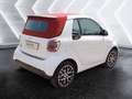 smart forTwo Cabrio eq Prime 22kW Bianco - thumbnail 4