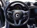 smart forTwo Cabrio eq Prime 22kW Bianco - thumbnail 15
