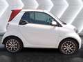 smart forTwo Cabrio eq Prime 22kW Bianco - thumbnail 5
