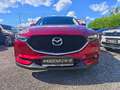 Mazda CX-5 2,2 CD150 AWD ALLRAD Attraction Automatik +Anhä... Rot - thumbnail 8