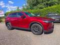 Mazda CX-5 2,2 CD150 AWD ALLRAD Attraction Automatik +Anhä... Rot - thumbnail 7