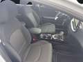 Kia Ceed / cee'd CEED 1.5T 140 DCT7 VISION KOMF+ Weiß - thumbnail 15