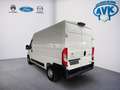 Citroen Jumper Grossraumkasten 33 L2H2 Control BlueHDi 1 Weiß - thumbnail 4