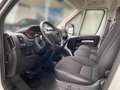 Citroen Jumper Grossraumkasten 33 L2H2 Control BlueHDi 1 Weiß - thumbnail 7