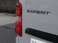 Peugeot Expert Nuovo Expert Standard 1.5 BlueHDi 120 S&S Furgone Blanco - thumbnail 18