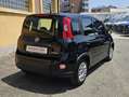 Fiat Panda 1.0 FIREFLY 70CV HYBRID-KM. 5.000- x NEOPATENTATI! Zwart - thumbnail 5