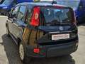 Fiat Panda 1.0 FIREFLY 70CV HYBRID-KM. 5.000- x NEOPATENTATI! Zwart - thumbnail 6