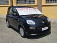 Fiat Panda 1.0 FIREFLY 70CV HYBRID-KM. 5.000- x NEOPATENTATI! Zwart - thumbnail 1