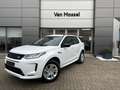 Land Rover Discovery Sport P300e S AWD Auto. 24MY Wit - thumbnail 1