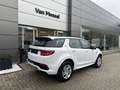 Land Rover Discovery Sport P300e S AWD Auto. 24MY Weiß - thumbnail 2