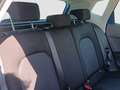 SEAT Arona 1.0 TSI S&S Style Special Edition DSG7 115 Azul - thumbnail 11