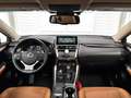 Lexus NX 300h NX 300h Executive Line PANO*CAM*DAB*NAVI*LEDER*CC Grigio - thumbnail 9