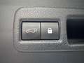 Lexus NX 300h NX 300h Executive Line PANO*CAM*DAB*NAVI*LEDER*CC Gris - thumbnail 29