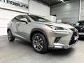 Lexus NX 300h NX 300h Executive Line PANO*CAM*DAB*NAVI*LEDER*CC Grigio - thumbnail 7