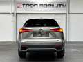 Lexus NX 300h NX 300h Executive Line PANO*CAM*DAB*NAVI*LEDER*CC Grigio - thumbnail 5