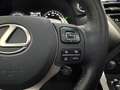 Lexus NX 300h NX 300h Executive Line PANO*CAM*DAB*NAVI*LEDER*CC Gris - thumbnail 23