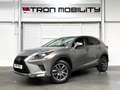 Lexus NX 300h NX 300h Executive Line PANO*CAM*DAB*NAVI*LEDER*CC Grigio - thumbnail 1