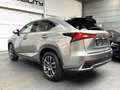 Lexus NX 300h NX 300h Executive Line PANO*CAM*DAB*NAVI*LEDER*CC Grigio - thumbnail 8