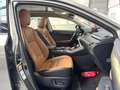 Lexus NX 300h NX 300h Executive Line PANO*CAM*DAB*NAVI*LEDER*CC Grigio - thumbnail 13