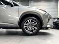Lexus NX 300h NX 300h Executive Line PANO*CAM*DAB*NAVI*LEDER*CC Grigio - thumbnail 6