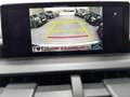 Lexus NX 300h NX 300h Executive Line PANO*CAM*DAB*NAVI*LEDER*CC Gris - thumbnail 16