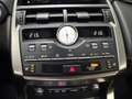 Lexus NX 300h NX 300h Executive Line PANO*CAM*DAB*NAVI*LEDER*CC Gris - thumbnail 19